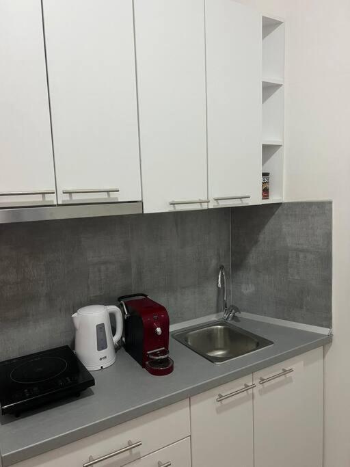 Sany Center Apartment 베오그라드 외부 사진
